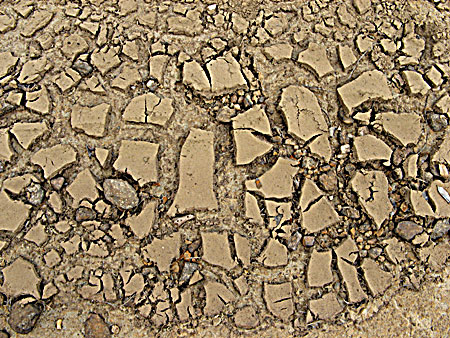 Drought (representative picutre)