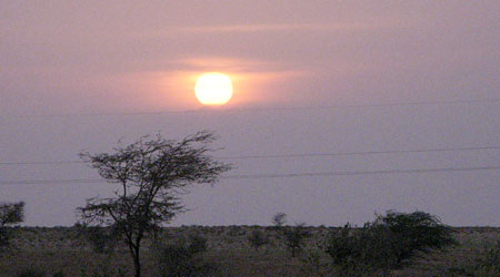 Sunset in the desert